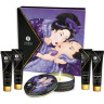 Набор SHUNGA GEISHA'S SECRET ЭКЗОТИЧЕСКИЕ ФРУКТЫ 5 предметов 8202 SG